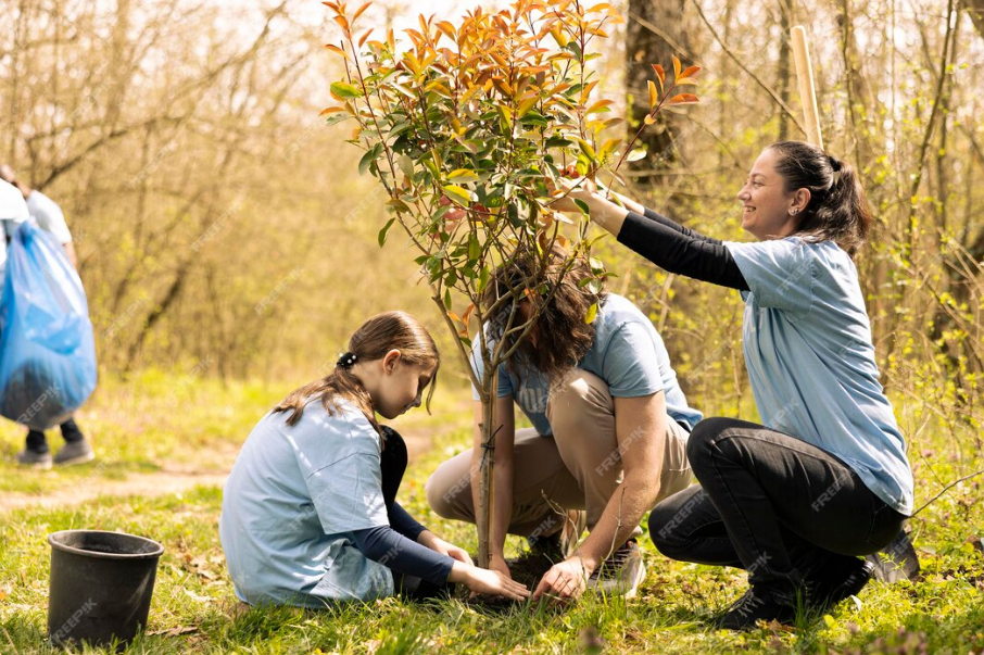 Τι χρειάζεται για να γίνει εθελοντική δενδροφύτευση με τα σχολεία; | Θέλουμε να βοηθήσουμε;